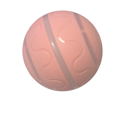 Pelota para mascotas USBToys