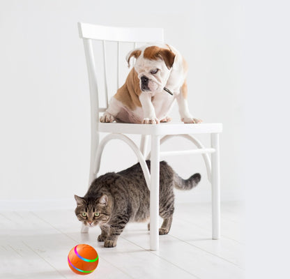 Pelota para mascotas USBToys