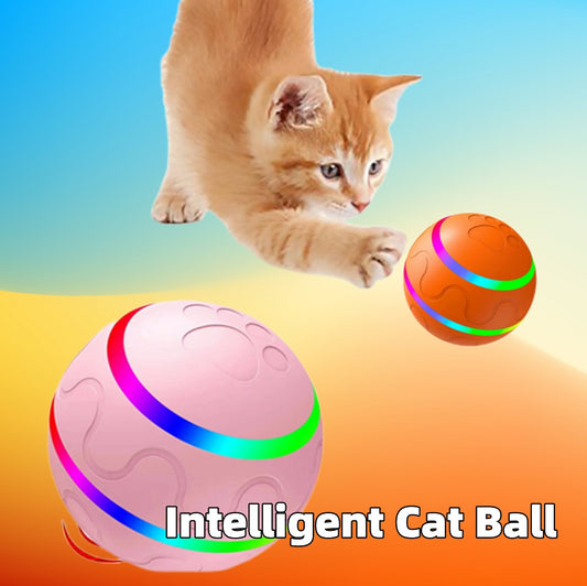 Pelota para mascotas USBToys